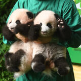 ╨▄├¿▒ª▒ª