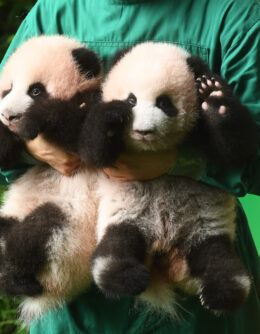 ╨▄├¿▒ª▒ª