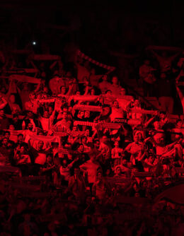 Benfica's supporters cheer during a Champions League opening phase soccer match between SL Benfica and Feyenoord at the Luz stadium in Lisbon, Wednesday, Oct. 23, 2024. (AP Photo/Armando Franca)