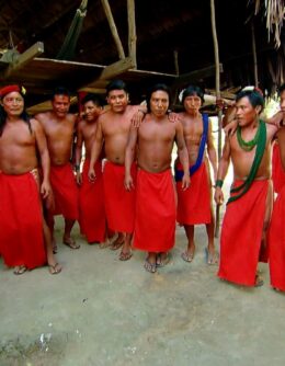 AmazonAgencyImageOpt1