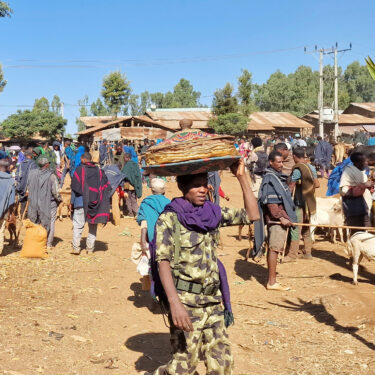 Ethiopia Amhara Rebels