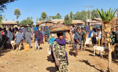 Ethiopia Amhara Rebels