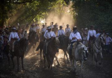 Spain Pilgrimage in the Wild