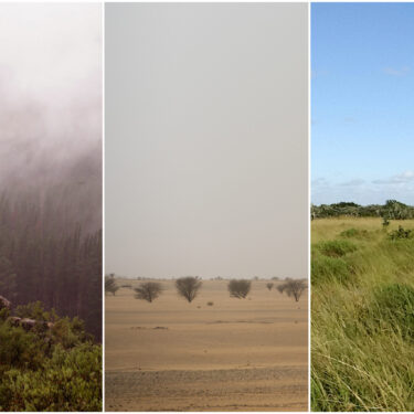 Early Human Migrations