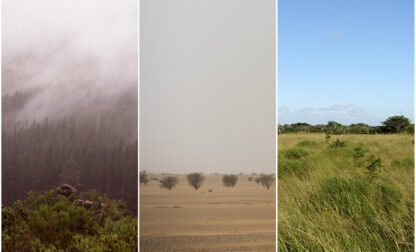 Early Human Migrations