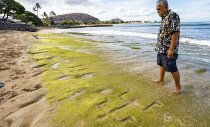 US Petroglyphs Hawaii