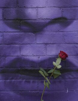 AP-Pictures-of-the-Week-Global-Photo-Gallery