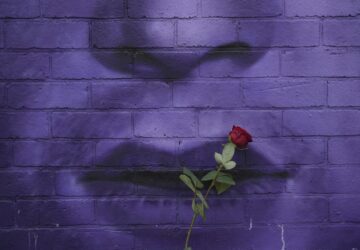 AP-Pictures-of-the-Week-Global-Photo-Gallery