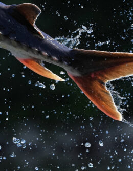 AP-Pictures-of-the-Week-Global-Photo-Gallery