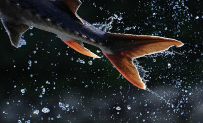 AP-Pictures-of-the-Week-Global-Photo-Gallery