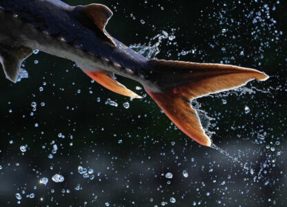 AP-Pictures-of-the-Week-Global-Photo-Gallery