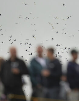 AP-Pictures-of-the-Week-Global-Photo-Gallery