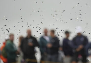 AP-Pictures-of-the-Week-Global-Photo-Gallery