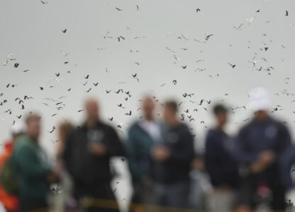 AP-Pictures-of-the-Week-Global-Photo-Gallery