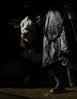 AP-Pictures-of-the-Week-Global-Photo-Gallery