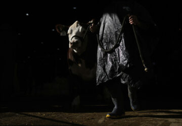 AP-Pictures-of-the-Week-Global-Photo-Gallery