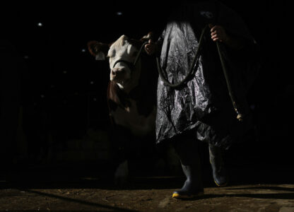 AP-Pictures-of-the-Week-Global-Photo-Gallery