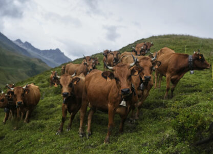 APTOPIX Cycling Tour de France
