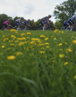 APTOPIX Cycling Tour de France