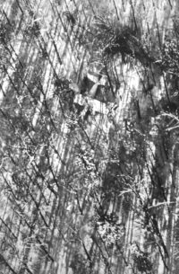 Adirondack Plane Crash