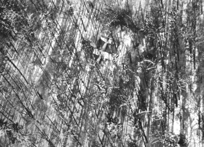 Adirondack Plane Crash