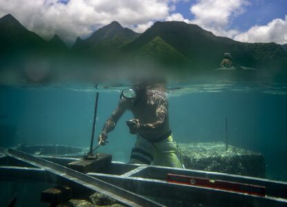 APTOPIX Olympics Tahiti Surfing Environment