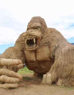 Animal Sculptures Made From Straw