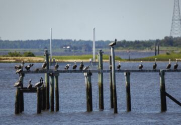 EPA Forever Chemicals Drinking Water