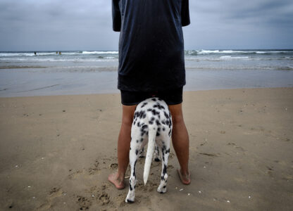 Huntington Beach Dog Surfing
