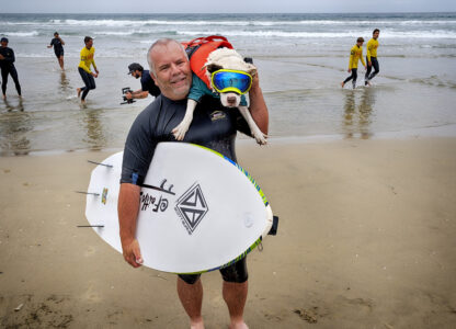 Huntington Beach Dog Surfing