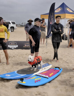 Huntington Beach Dog Surfing