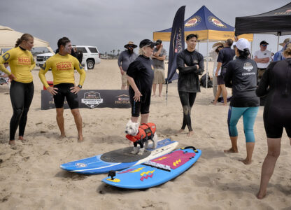 Huntington Beach Dog Surfing