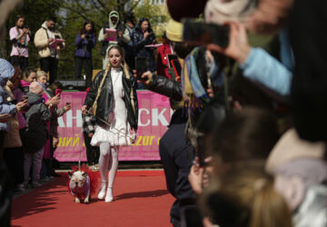 Russia French Bulldogs Parade