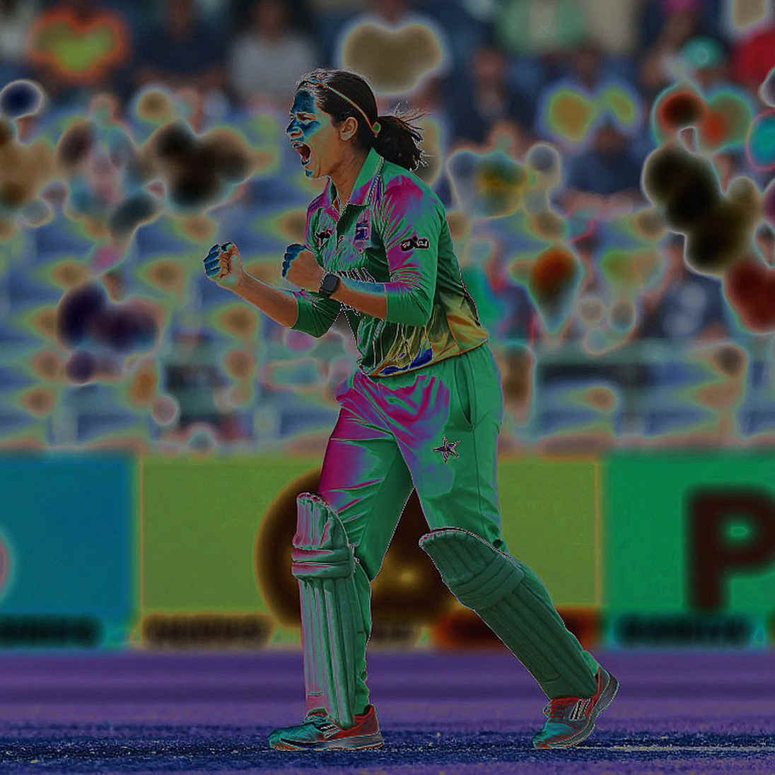 খালি স্প্রেডশিটের ফাঁদ: ক্রিকেট অ্যানালিটিক্স যখন নিজের রিপোর্টেই শূন্য